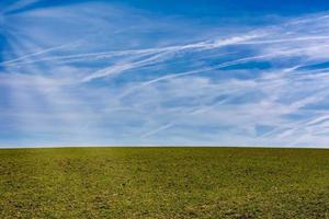 grüne Wiese im Frühling foto