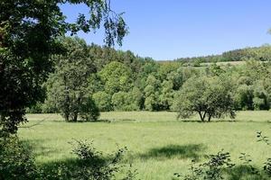 eine landschaft im mai foto