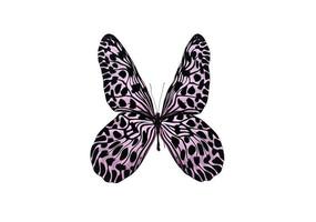 violetter Schmetterling lokalisiert auf weißem Hintergrund