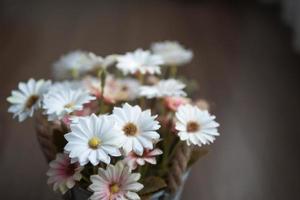 weiße und rosa Blumen auf dem Holztisch mit verschwommenem Hintergrund foto