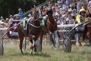 Pferderennbahn 11. August 2019 in Sault, Frankreich foto