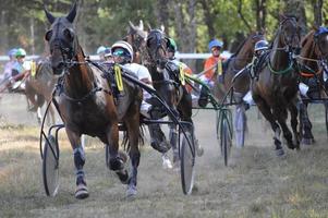 Pferderennbahn 11. August 2019 in Sault, Frankreich foto