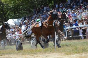 Pferderennbahn August 08.2017 Sault, Frankreich foto