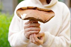 weibliche Hand, die rohen essbaren Pilz mit braunem Kappen-Pennybrötchen im Herbstwaldhintergrund hält. Ernte große Steinpilze in natürlicher Umgebung pflücken. leckeres bio-lebensmittelkonzept kochen. foto