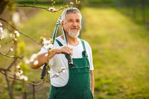 Porträt eines schönen älteren Mannes Gartenarbeit
