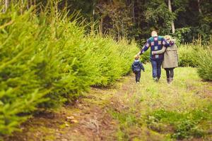 glückliche Familie mit Kind, das Weihnachtsbaum am Bauernhof wählt