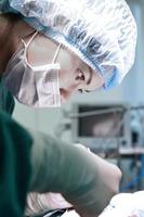 Tierarztchirurgie im Operationssaal