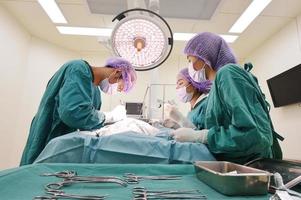 Gruppe von Tierarztchirurgie im Operationssaal foto