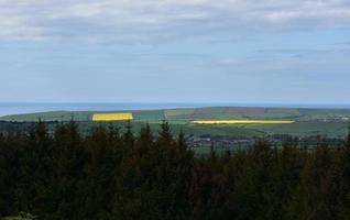 Flickenteppich von Feldern, wie von Dellenhügeln aus gesehen foto