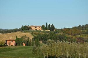 Wunderschöner Weinberg in der Toskana Italien foto