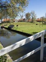 die niederländische Stadt Enkhuizen foto