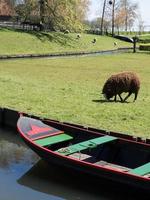 die niederländische Stadt Enkhuizen foto