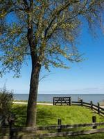 die niederländische Stadt Enkhuizen foto