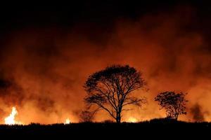 Buschfeuer, das orange und roten Rauch brannte, erfüllten nachts den Himmel. foto