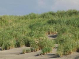 insel juist in der nordsee foto