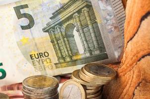 Geld fünf Euro-Schein und Münzen