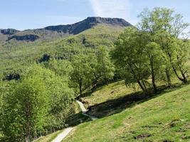 Frühlingszeit bei Flam in Norwegen foto