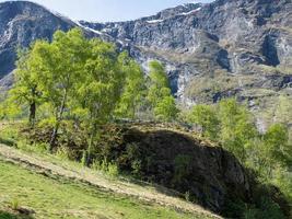 Frühlingszeit bei Flam in Norwegen foto