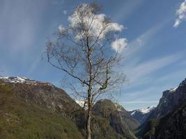 Flamme in Norwegen foto