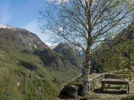 Flamme in Norwegen foto