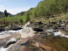 Flamme in Norwegen foto