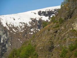 Frühling in norwegen foto