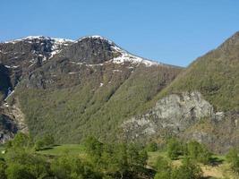 Frühling in norwegen foto