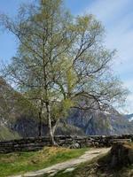 Das Dorf Flam in Norwegen foto