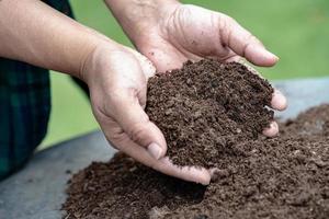 Hand, die Torfmoos organische Substanz hält, verbessert den Boden für die Landwirtschaft Bio-Pflanzenanbau, Ökologiekonzept. foto