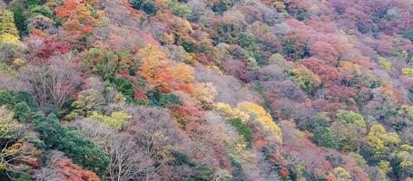 schöne bunte blätter berge hintergrund, herbst herbstsaison. Arashiyama, Kyoto, Japan foto