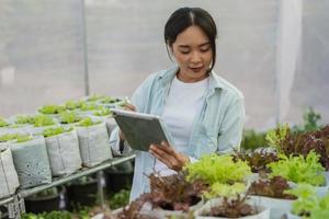 asiatischer Bauer im Gemüse-Bio-Bauernhof. Gärtnerinnen verwenden Tablets, um Gemüse in der Wachstumsqualität auf dem Bauernhof zu überwachen. Hydrokultur-Bio-Bauernhof-Konzept. foto