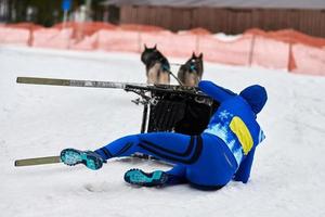 Husky-Schlittenhunderennen. Musher fällt vom Schlitten foto