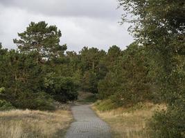 die Insel Spiekeroog foto