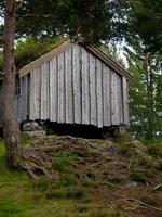 Schimmel in Norwegen foto