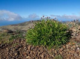 Funchal und die Insel Madeira foto