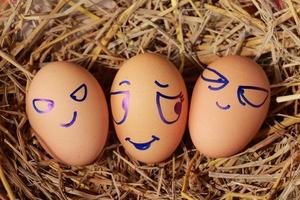 Emotion von frischen Eiern auf einem Strohhalm. foto