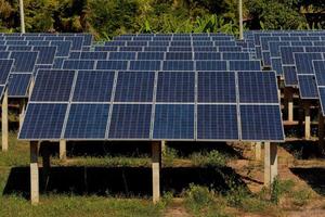 Solarzellen auf einem großen Feld foto