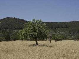 die insel ibiza in spanien foto