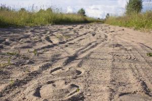 Spur des Hufes des Pferdes auf der Sandstraße im Wald foto