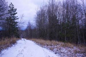 verschneite Straße im Wald. Winterlandschaft. foto