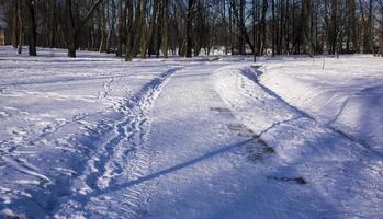 verschneite Straße im Wald. Winterlandschaft. foto