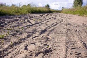 Spur des Hufes des Pferdes auf der Sandstraße im Wald foto