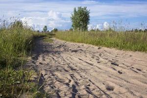 Spur des Hufes des Pferdes auf der Sandstraße im Wald foto