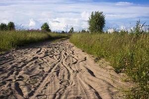 Spur des Hufes des Pferdes auf der Sandstraße im Wald foto