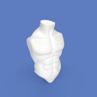 3D-Rendering des menschlichen Oberkörpers