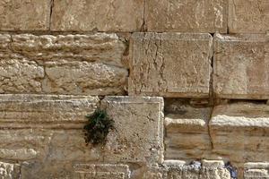 Zettel in der Klagemauer in Jerusalem mit ihren an Gott gerichteten Bitten und Wünschen. foto