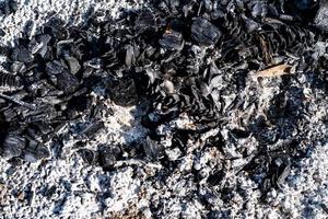 eine Textur aus verbrannter Holzkohle in schwarzen und grauen Farben, kurz nachdem sie in den brennenden Flammen verbrannt wurde foto