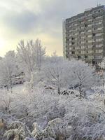 verschneiten winter schnee und eis landschaft panorama bremerhaven deutschland. foto