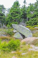 Wald tote Tannen am Brocken Berggipfel Harz Deutschland. foto