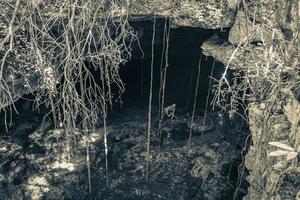 reiseführer blau türkis wasser kalkstein höhle doline cenote mexiko. foto